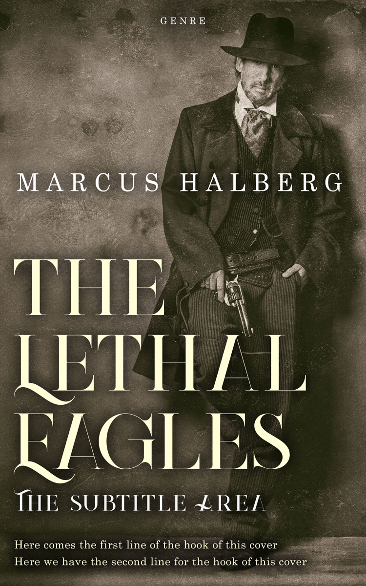 2D view of Premade Historical Book Cover - Birch