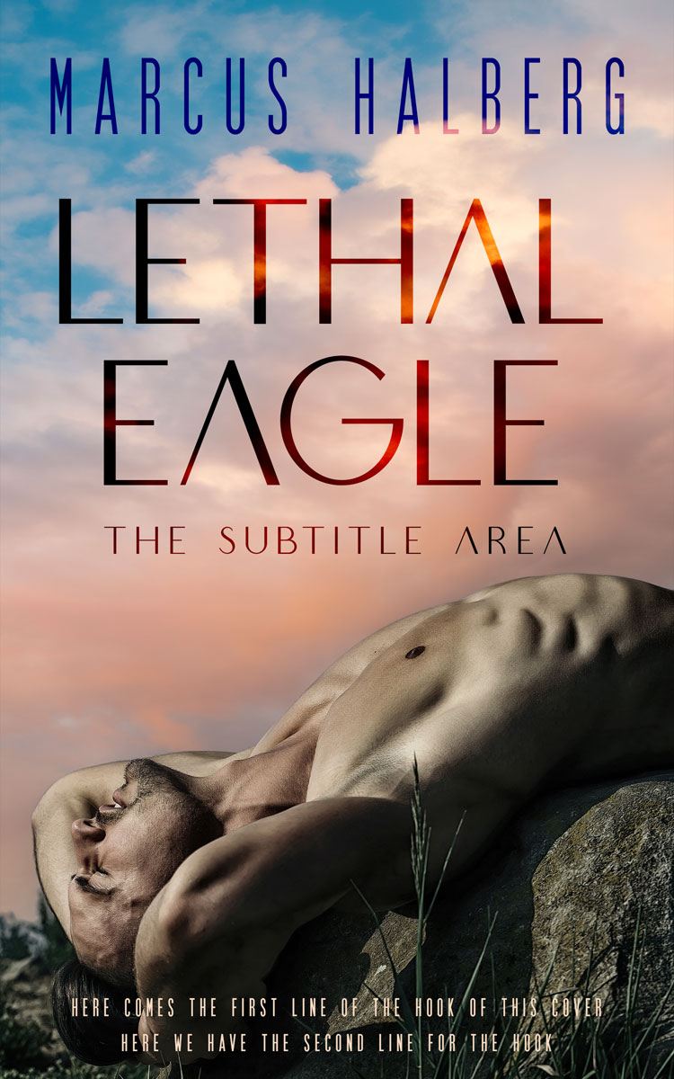 2D view of Premade Erotica Book Cover - Rodeo Dust