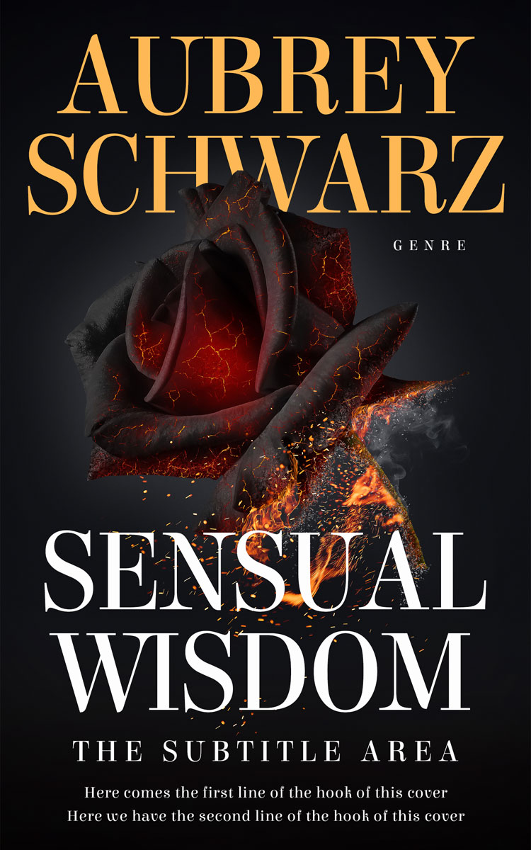 2D view of Premade Romance Book Cover - Thunder