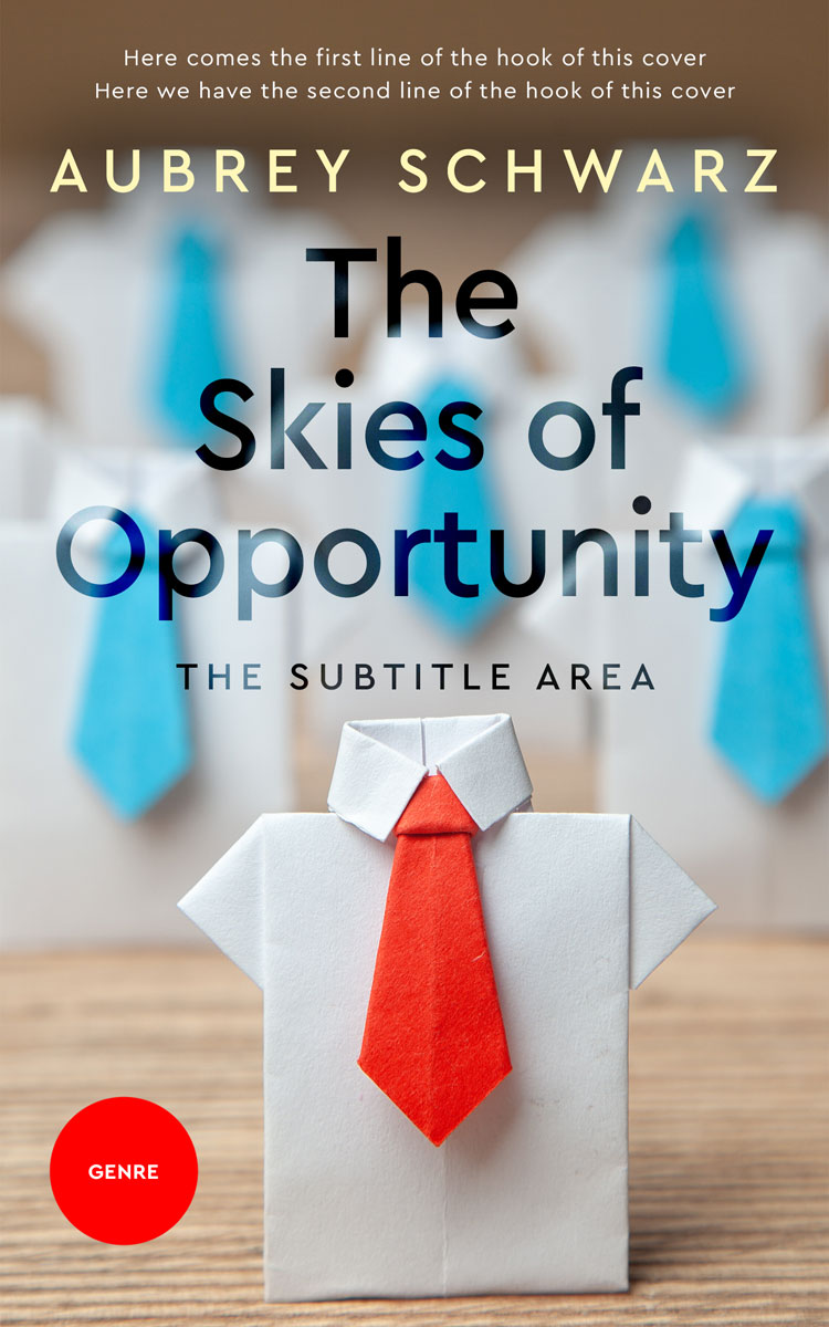 2D view of Premade Business Book Cover - Gray Nickel