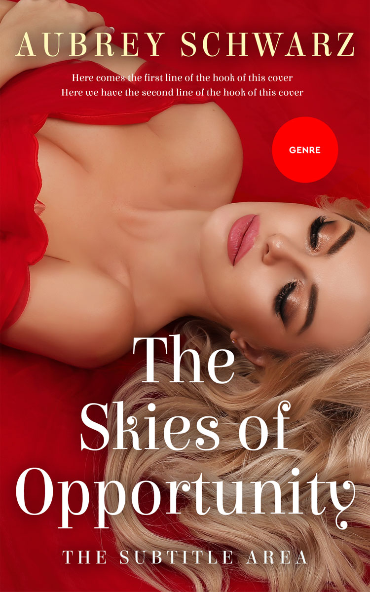 2D view of Premade Erotica Book Cover - Stiletto