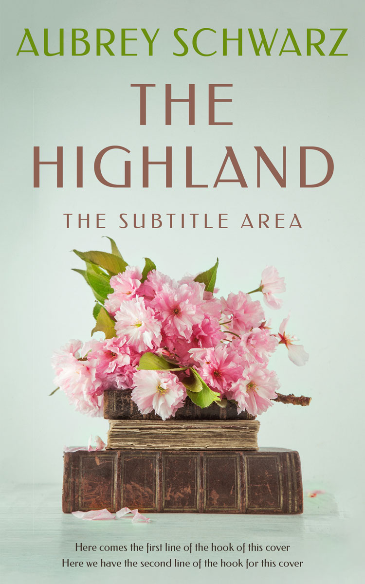 2D view of Premade Literary Fiction Book Cover - Tasman