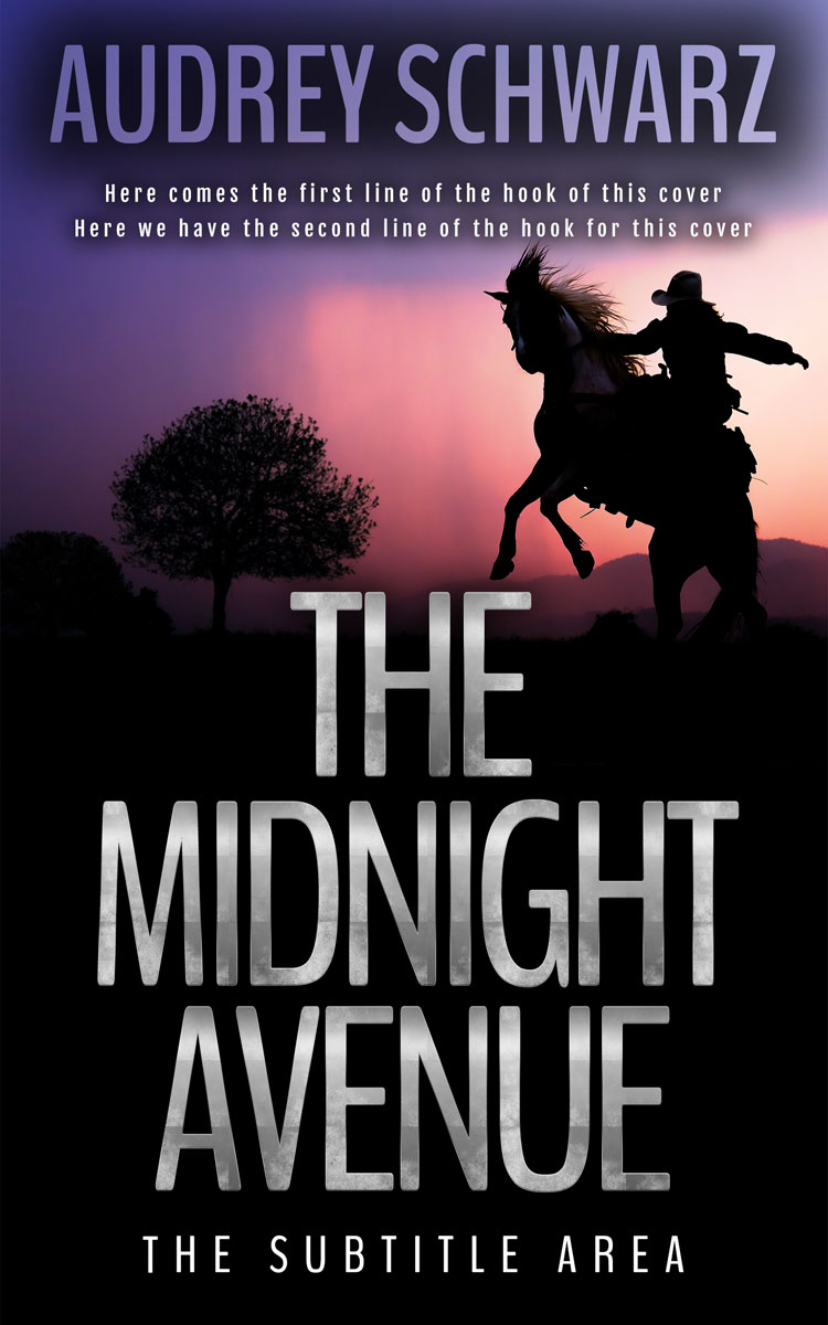 2D view of Premade Western Book Cover - Cinder