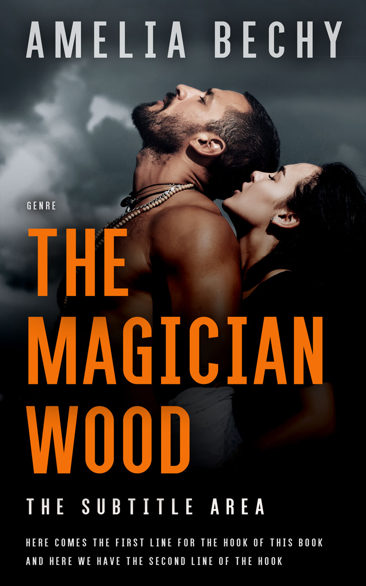 2D view of Premade Erotica Book Cover - Di Serria