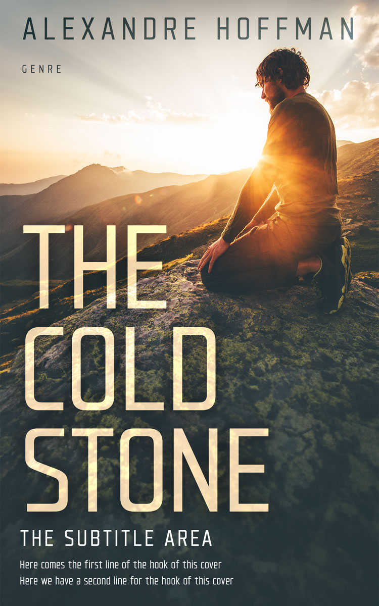 2D view of Premade Travel Book Cover - Grain Brown