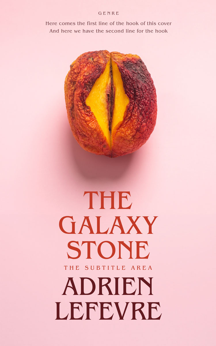 2D view of Premade Erotica Book Cover - Cinderella