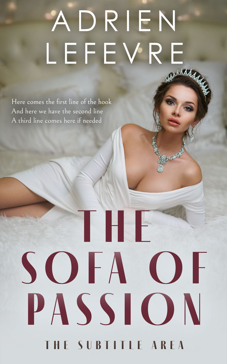 2D view of Premade Erotica Book Cover - Gray Nickel