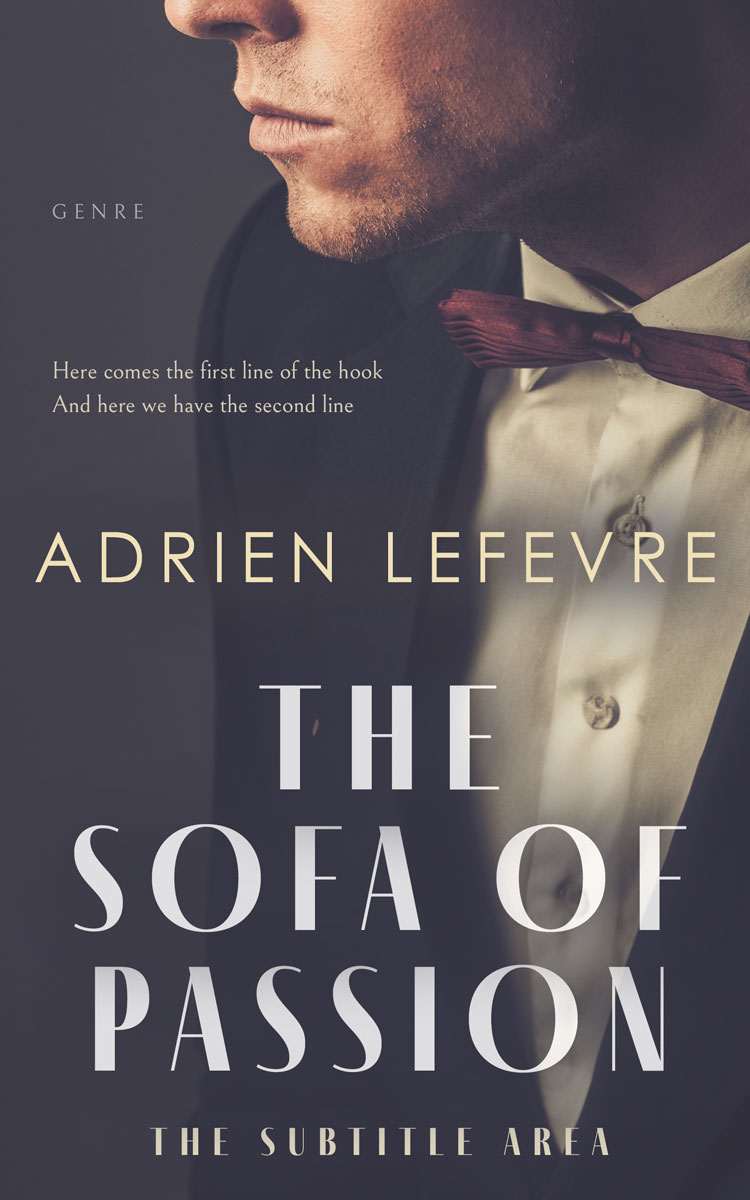 2D view of Premade Business Book Cover - Ship Gray