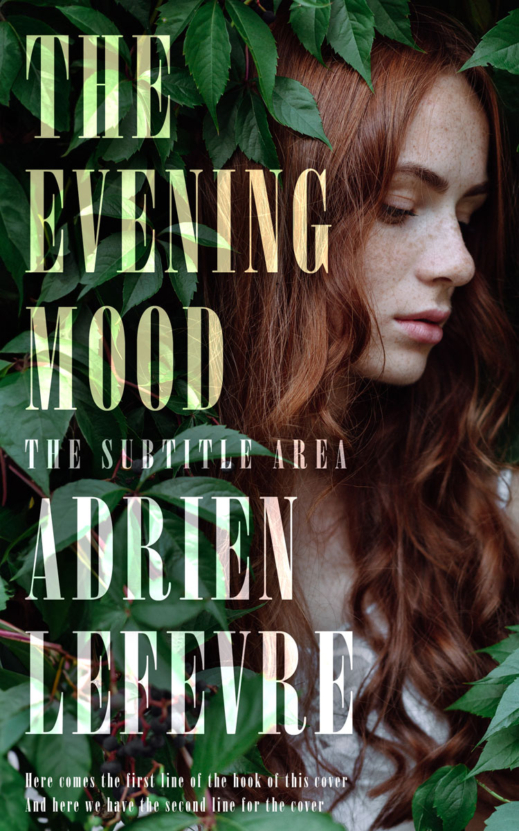 2D view of Premade Teen & Young Adult Book Cover - Log Cabin