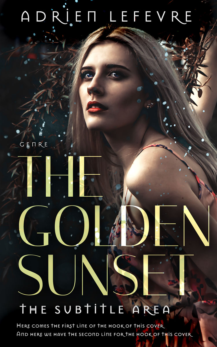 2D view of Premade Chick Lit Book Cover - Cod Gray