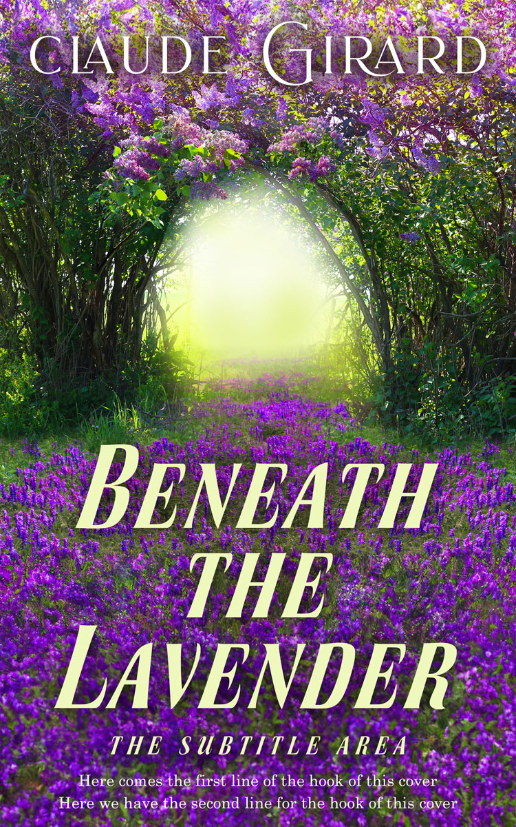 2D view of Premade Fantasy Book Cover - Thunder