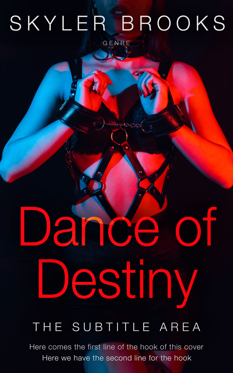 2D view of Premade Erotica Book Cover - Punch