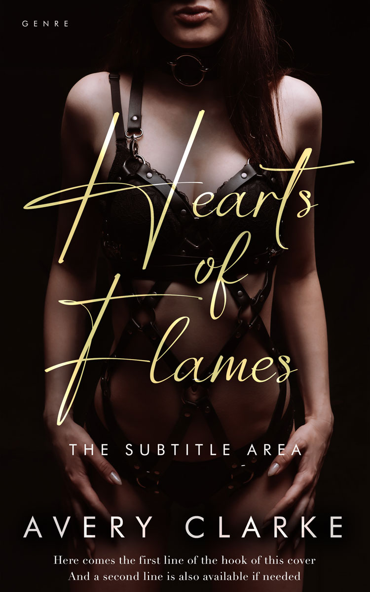 2D view of Premade Erotica Book Cover - Asphalt