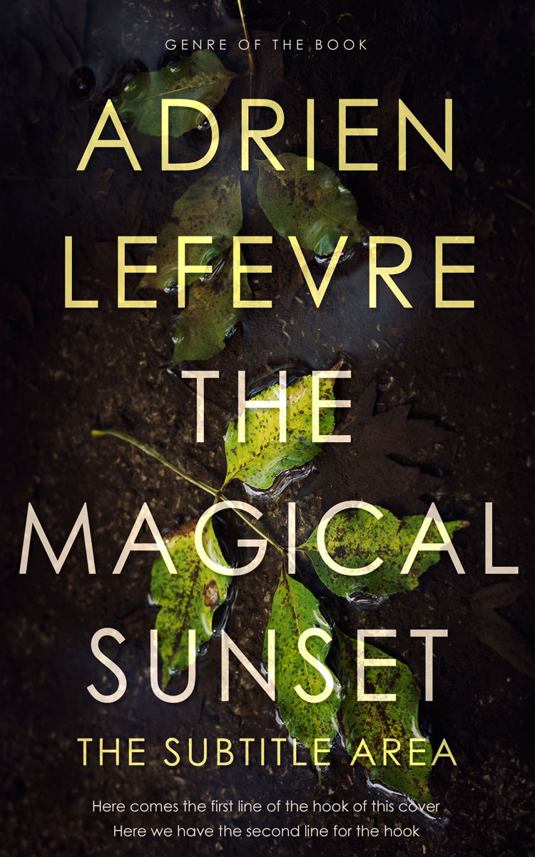 2D view of Premade Fantasy Book Cover - Zeus