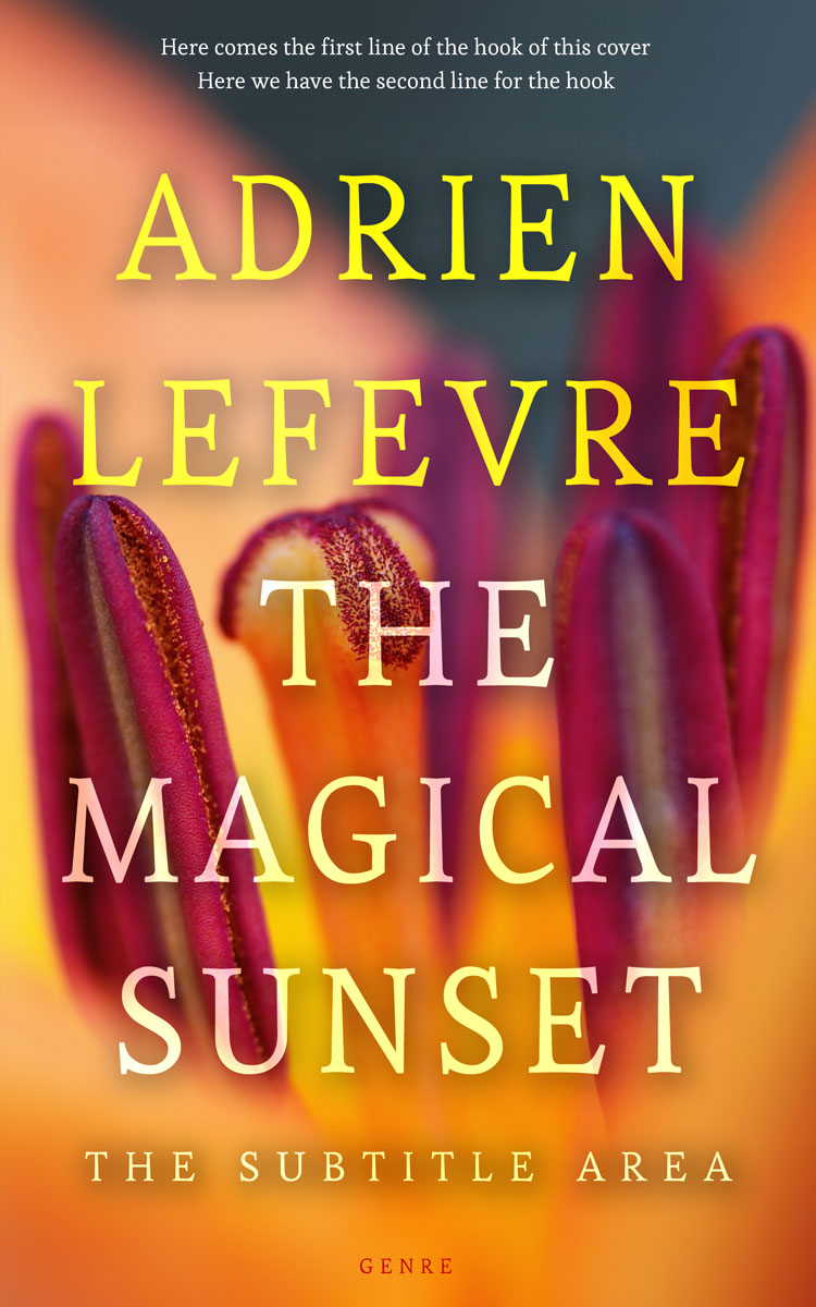 2D view of Premade Fantasy Book Cover - Raw Sienna