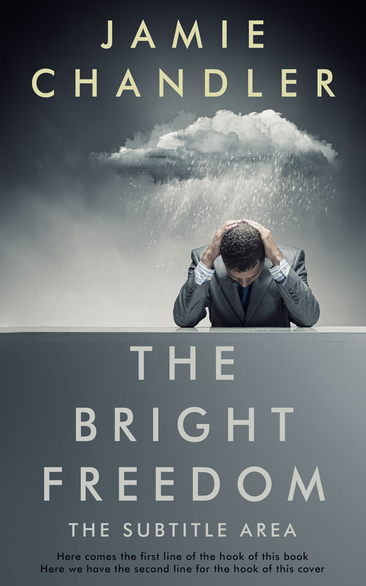 2D view of Premade Literary Fiction Book Cover - Abbey