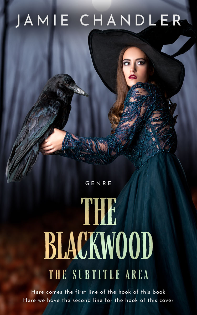 2D view of Premade Fantasy Book Cover - Bunker