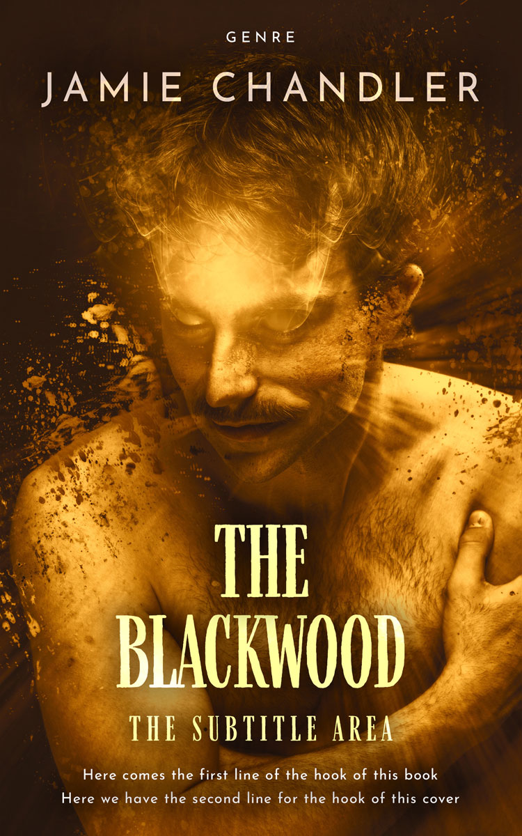 2D view of Premade Fantasy Book Cover - Bronze