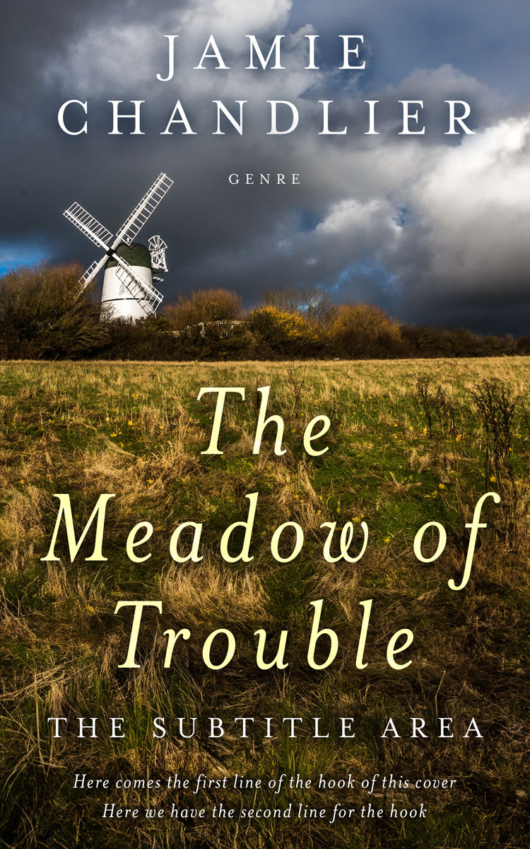 2D view of Premade Literary Fiction Book Cover - Birch