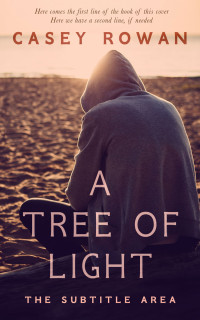 2D view of Premade Teen & Young Adult Book Cover - Zinnwaldite