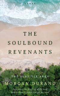 2D view of Premade Travel Book Cover - Swirl