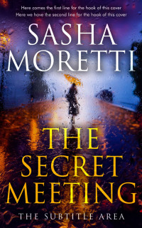 2D view of Premade Literary Fiction Book Cover - Revolver