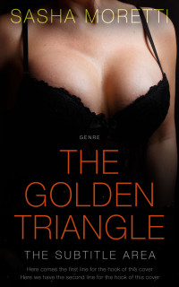 2D view of Premade Erotica Book Cover - Night Rider