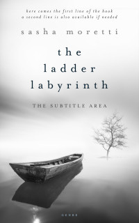 2D view of Premade Literary Fiction Book Cover - Cape Cod