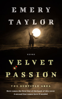 2D view of Premade Western Book Cover - Eternity