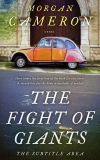 2D view of Premade Literary Fiction Book Cover - Cape Cod