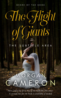 2D view of Premade Paranormal & Urban Book Cover - Eternity