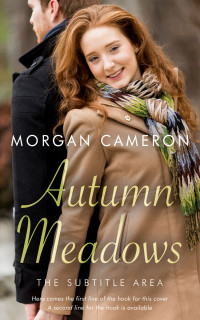2D view of Premade Romance Book Cover - Shadow