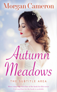 2D view of Premade Romance Book Cover - Mischka