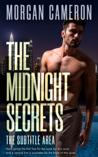 2D view of Premade Erotica Book Cover - Soft Amber