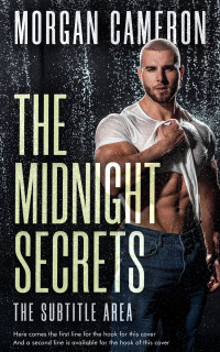 2D view of Premade Erotica Book Cover - Foggy Gray