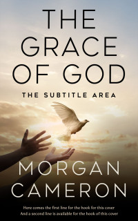 2D view of Premade Religion & Spirituality Book Cover - Sisal