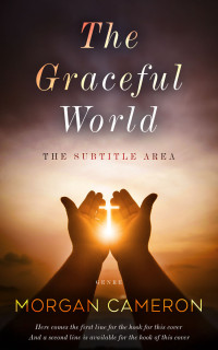 2D view of Premade Religion & Spirituality Book Cover - Calico