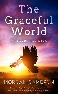 2D view of Premade Religion & Spirituality Book Cover - Livid Brown