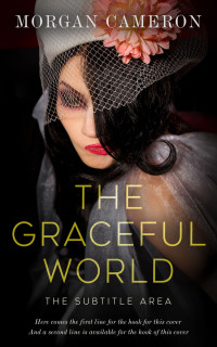 2D view of Premade Mystery & Thriller & Suspense Book Cover - Teak