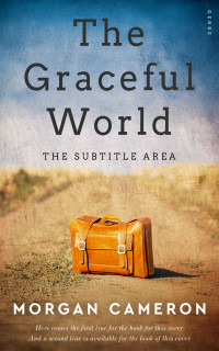 2D view of Premade Literary Fiction Book Cover - Gray Nickel