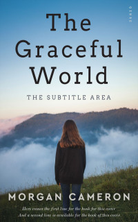 2D view of Premade Teen & Young Adult Book Cover - Ship Cove