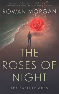 2D view of Premade Literary Fiction Book Cover - Masala