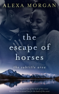 2D view of Premade Romance Book Cover - Big Stone