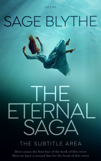 2D view of Premade Fantasy Book Cover - Tradewind