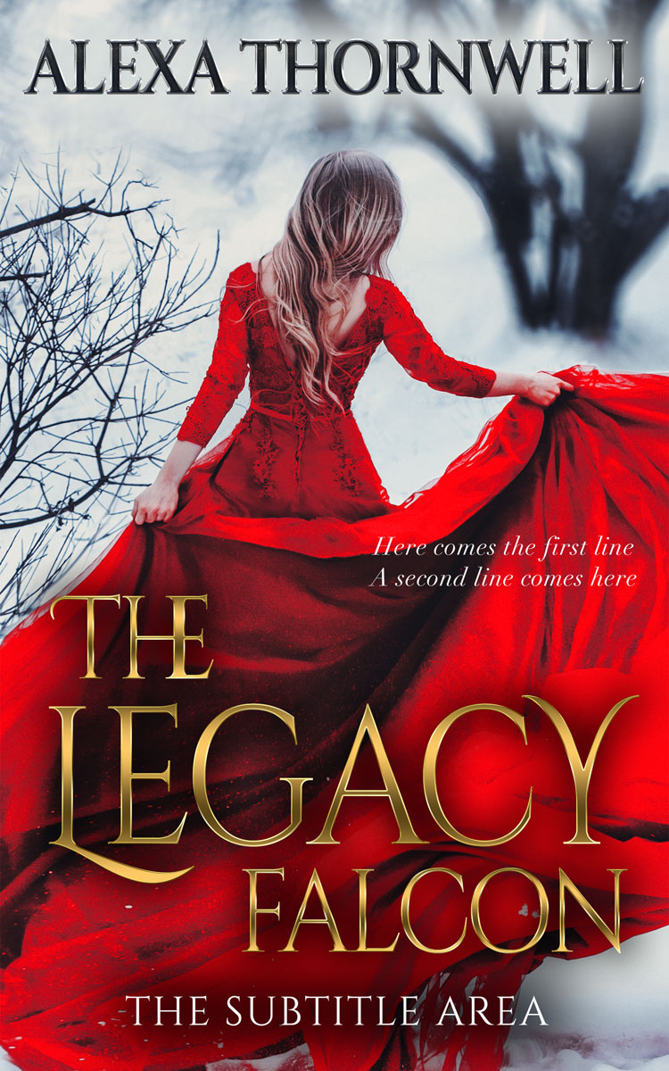 2D view of Custom & Premade Fantasy Book Cover - Pumice #35919 | BookCoverZone*