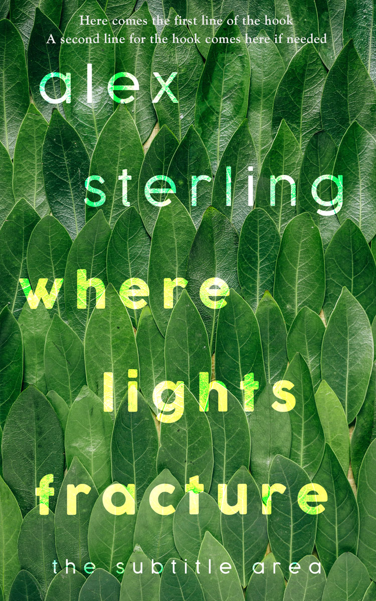 2D view of Premade Nature Book Cover - Killarney