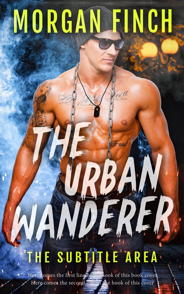 2D view of Premade Romance Book Cover - Calico #36894 | BookCoverZone*