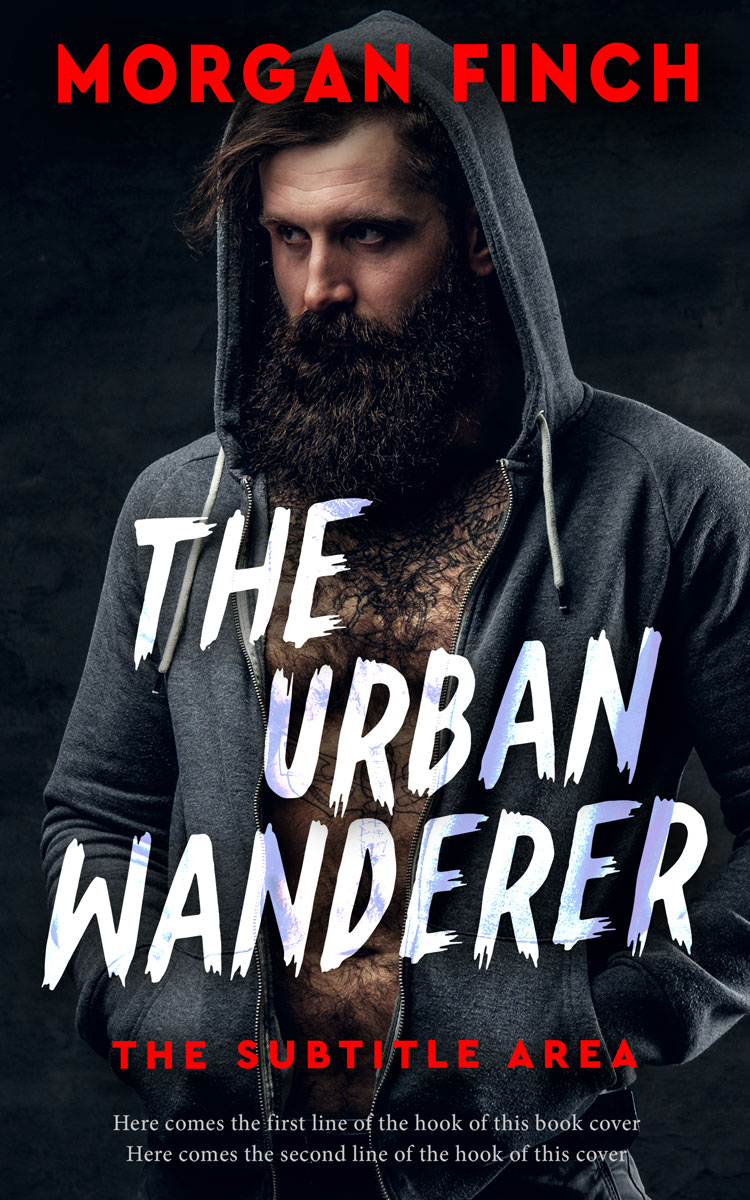 2D view of Premade Mystery & Thriller & Suspense Book Cover - Woodsmoke #36898 | BookCoverZone*