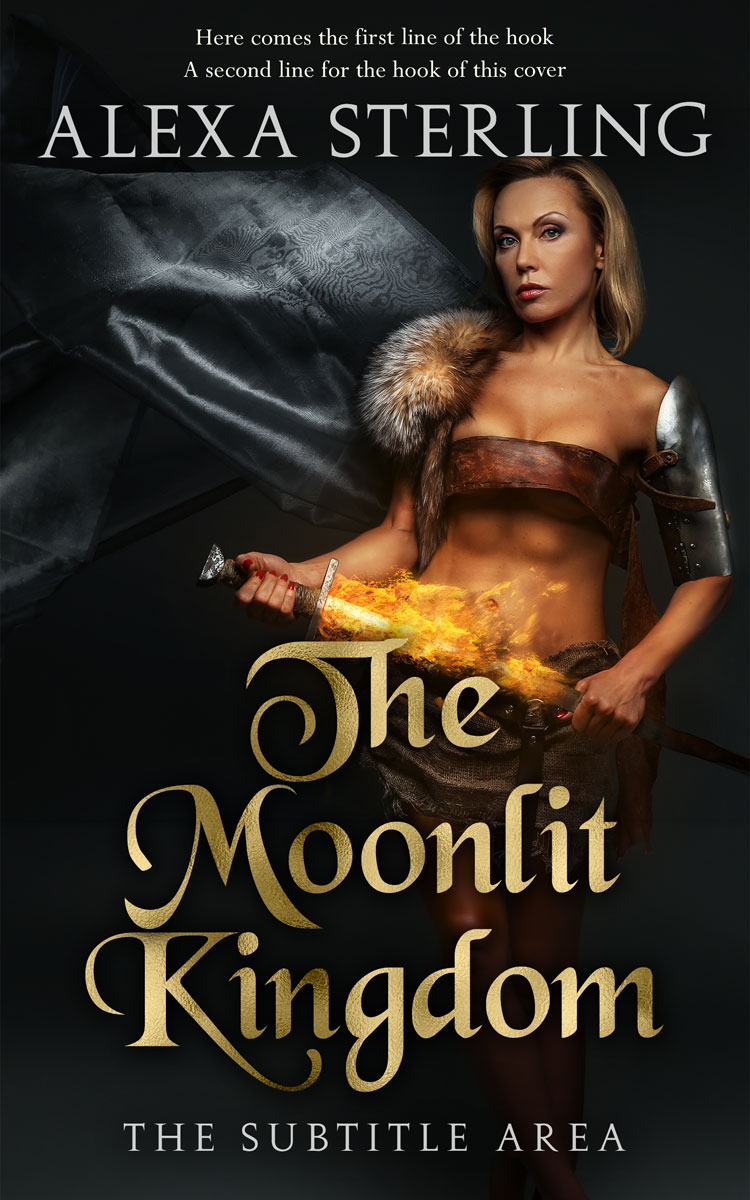 2D view of Premade Fantasy Book Cover - Cod Gray #37007 | BookCoverZone*