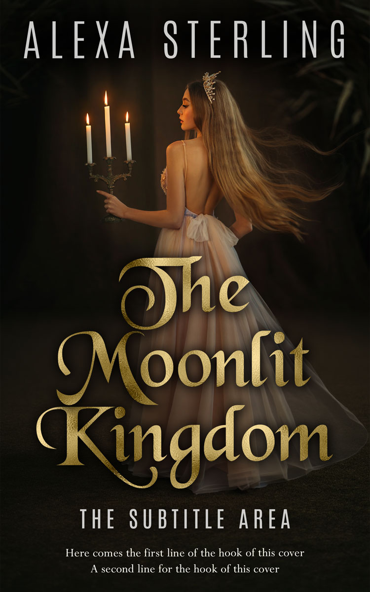 2D view of Premade Fantasy Book Cover - Oil #37013 | BookCoverZone*